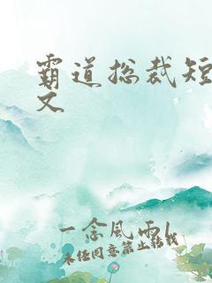 霸道总裁短篇甜文