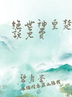 绝世神皇楚风小说免费