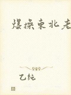 爆操东北老熟女