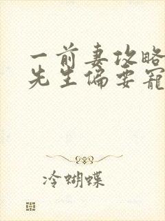 一前妻攻略:傅先生偏要宠我