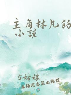 主角林凡的小说 小说