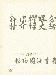 许你耀眼分集剧情介绍大结局