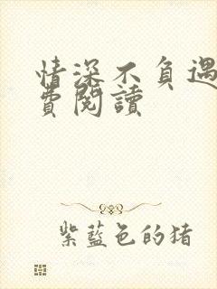 情深不负遇见免费阅读