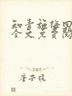 知青施梅回忆录全文免费阅读