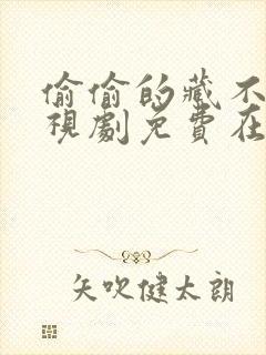 偷偷的藏不住电视剧免费在线