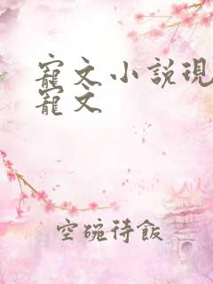 宠文小说现代甜宠文