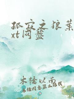 孤寂之狼叶凡txt网盘