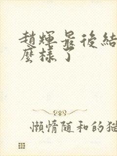 赵辉最后结局怎么样了