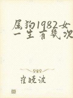 属狗1982女一生有几次婚姻