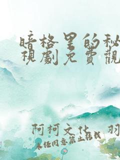 暗格里的秘密电视剧免费观看番外