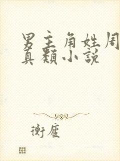 男主角姓周的修真类小说