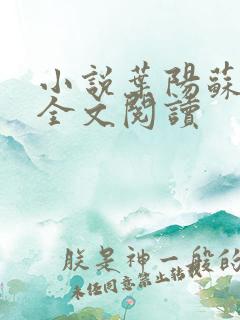 小说叶阳苏清歌全文阅读