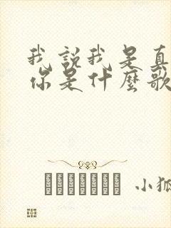 我说我是真的爱你是什么歌的歌词