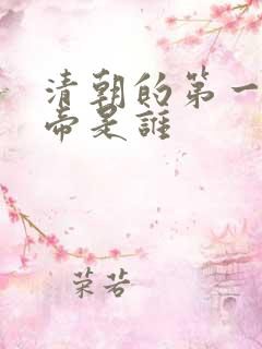 清朝的第一位皇帝是谁