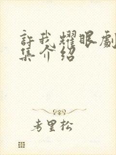 许我耀眼剧情分集介绍