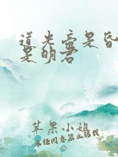 道光帝是昏君还是明君