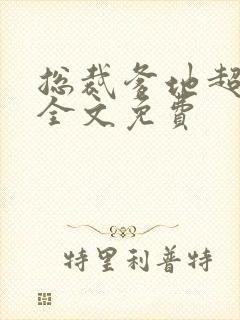 总裁爹地超给力全文免费