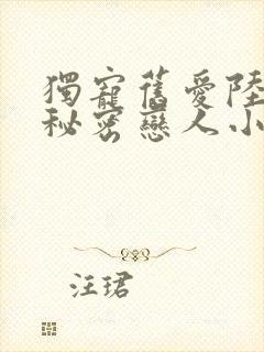 独宠旧爱陆少的秘密恋人小说txt