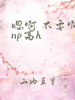 嗯啊 不要啊 np高h
