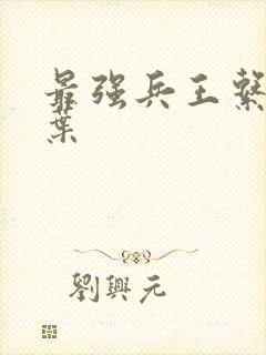 最强兵王系统北叶