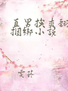 直男挨爽翻呻淫捆绑小说