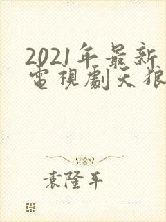 2021年最新电视剧天狼影视