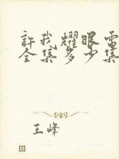 许我耀眼电视剧全集多少集