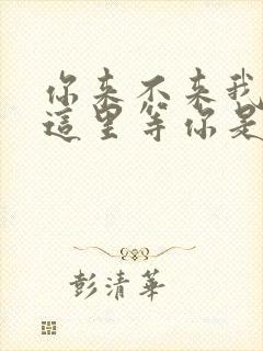 你来不来我都在这里等你是谁的诗