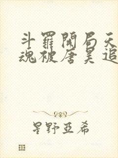 斗罗开局天使武魂被唐昊追杀下载