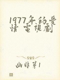 1977年的爱情 电视剧