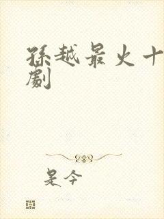 孙越最火十部短剧