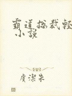 霸道总裁轻轻爱 小说