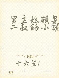 男主姓顾是女主二叔的小说