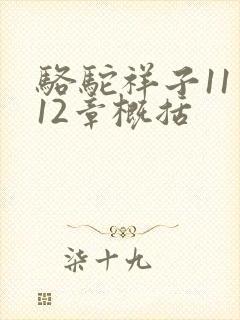 骆驼祥子11至12章概括