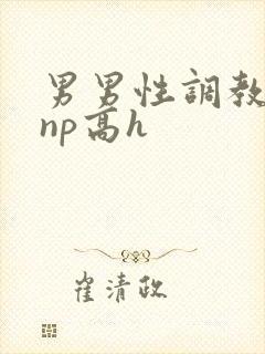 男男性调教小说np高h