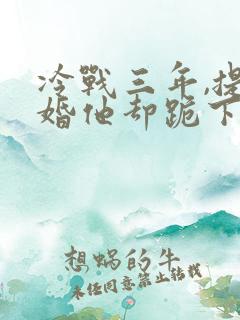 冷战三年,提离婚他却跪下来