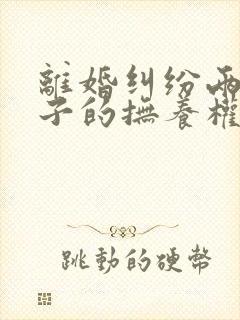 离婚纠纷两个孩子的抚养权如何确定判决