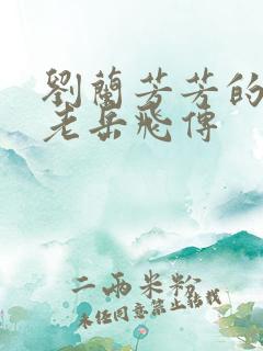 刘兰芳芳的评书老岳飞传