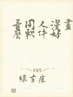 看同人漫画用什么软件好