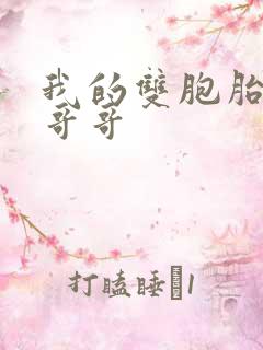 我的双胞胎骚货哥哥