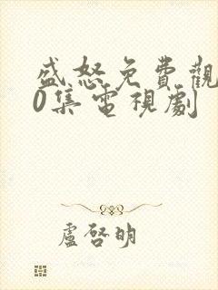 盛怒免费观看40集电视剧