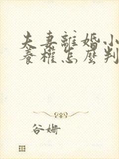 夫妻离婚小孩抚养权怎么判抚养费怎么出