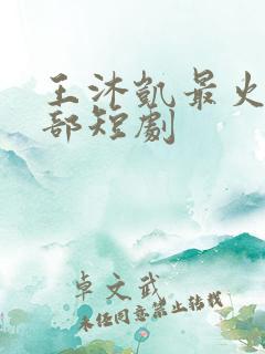 王沐凯最火的5部短剧