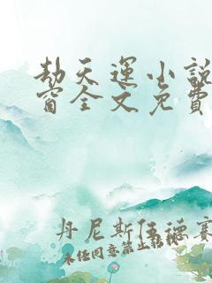 劫天运小说无弹窗全文免费阅读