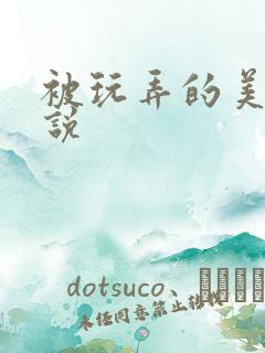 被玩弄的美人小说