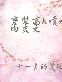 变装高h喷水荡肉爽文