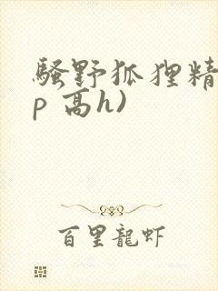 骚野狐狸精(np 高h)