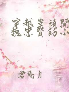 穿越崇祯开局救魏忠贤的小说