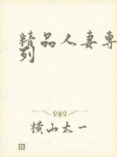 精品人妻专区系列