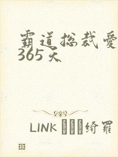 霸道总裁爱上我365天